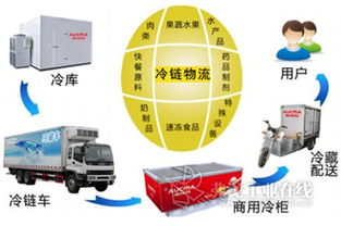 國內(nèi)外聯(lián)動打造北方食品冷鏈物流集散中心，優(yōu)化供應鏈管理服務